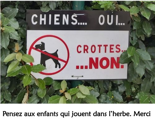 Chiens oui, crottes non